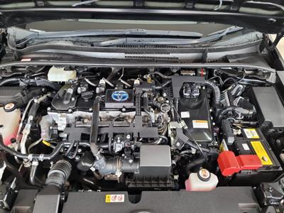 2019 Toyota Corolla - Thumbnail