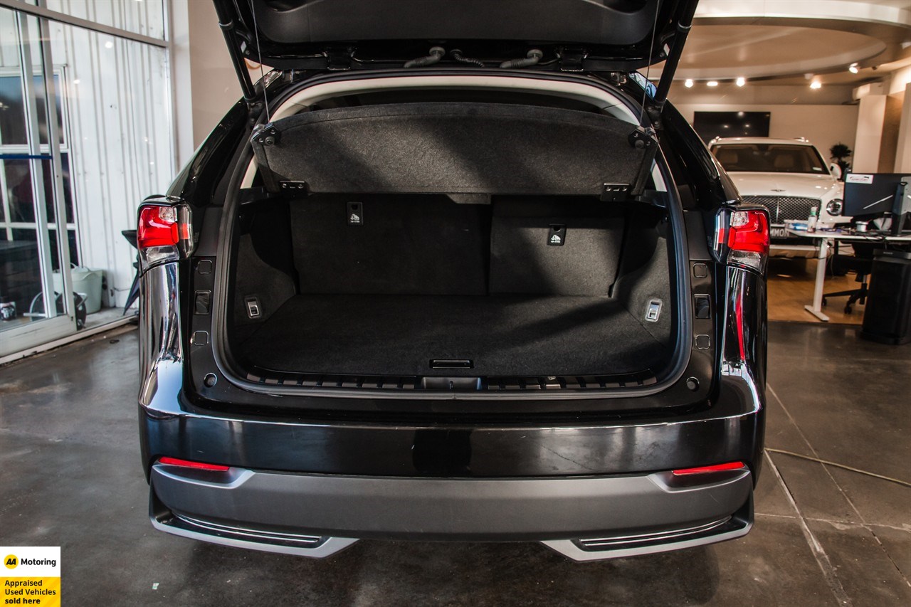 2015 Lexus NX 300h