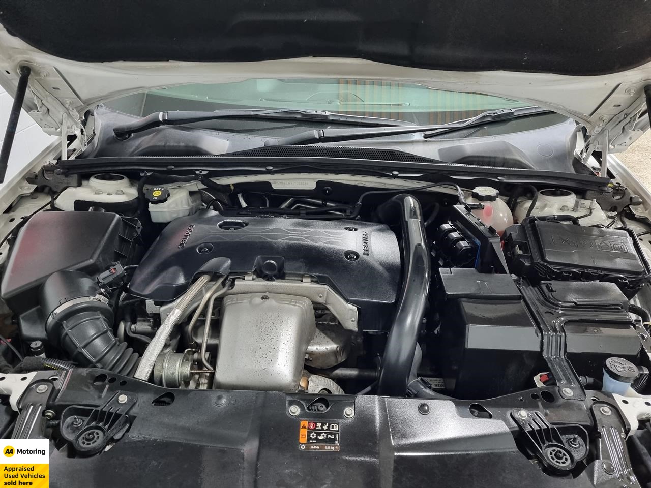 2019 Holden Commodore