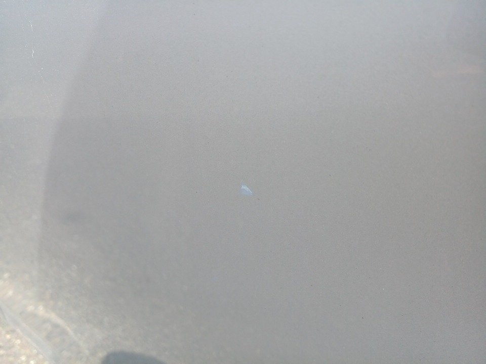 2021 Toyota Aqua