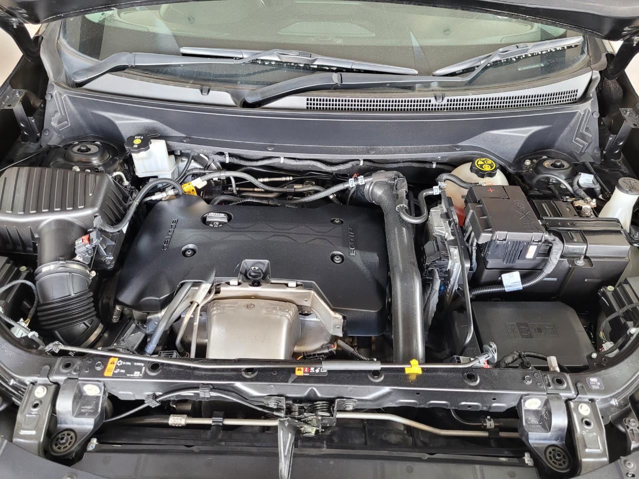 2019 Holden Equinox
