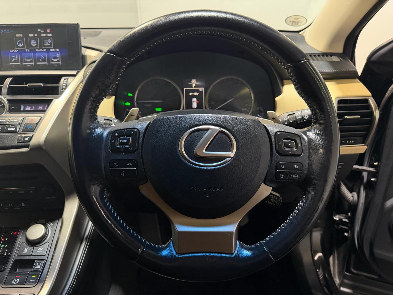 2015 Lexus NX