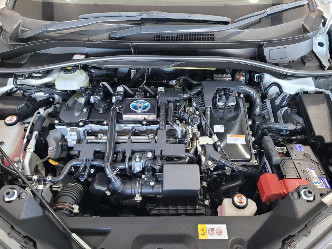 2019 Toyota C-HR