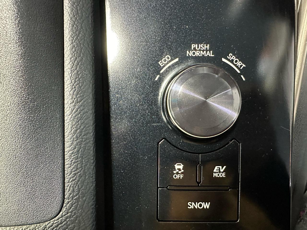2013 Lexus IS300h