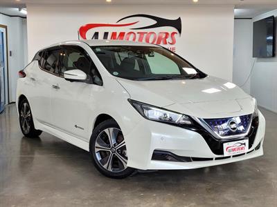 2019 Nissan Leaf