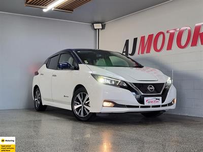 2019 Nissan Leaf
