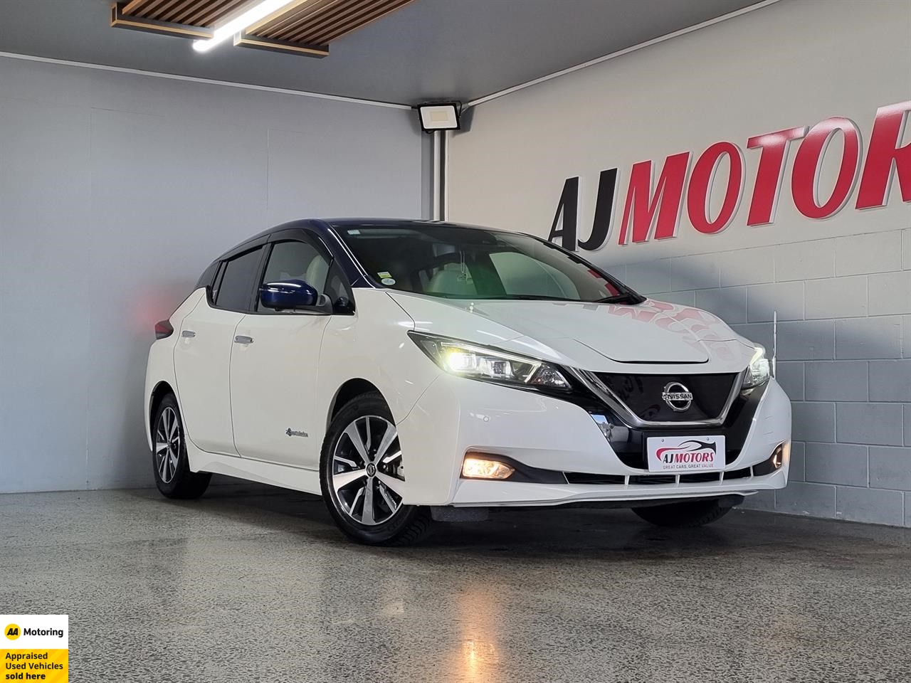 2019 Nissan Leaf