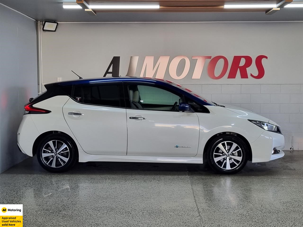 2019 Nissan Leaf