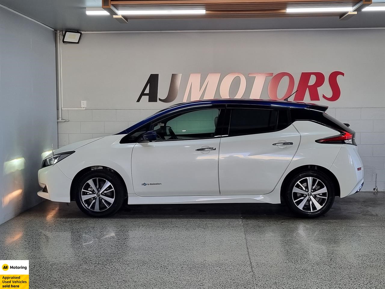2019 Nissan Leaf