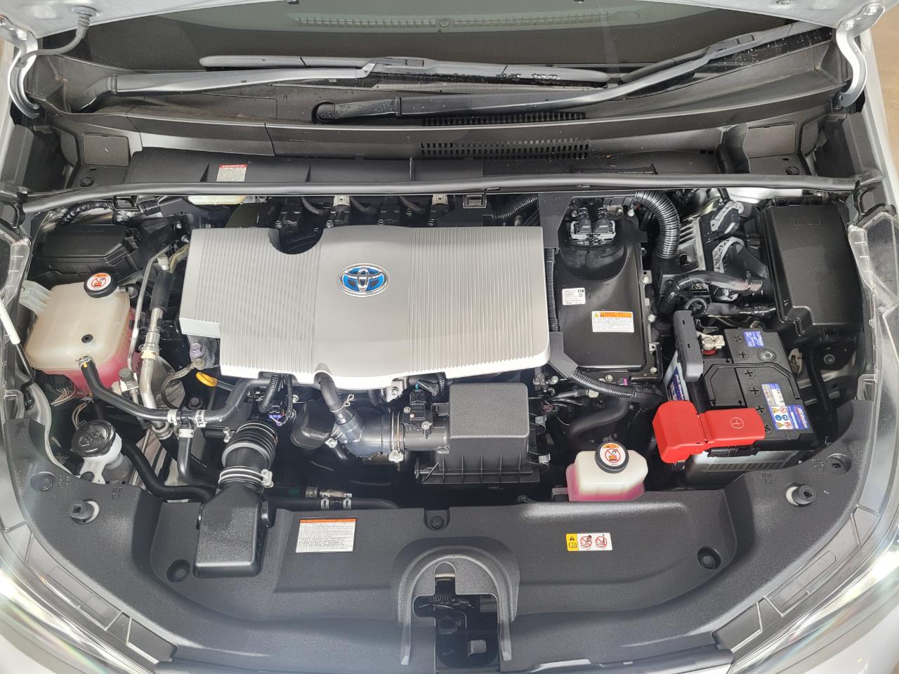 2019 Toyota Prius