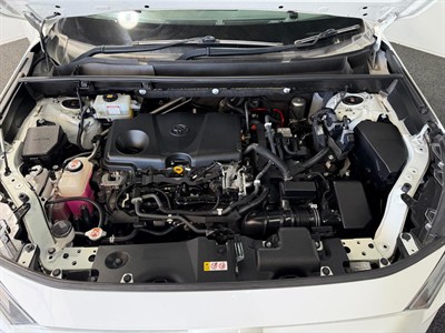 2019 Toyota RAV4 - Thumbnail