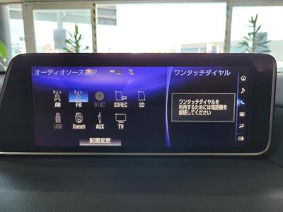 2019 Lexus RX 300 - Thumbnail