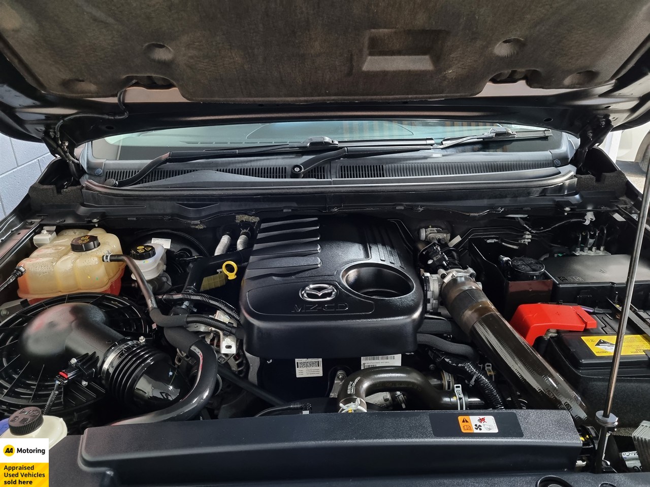 2019 Mazda BT-50