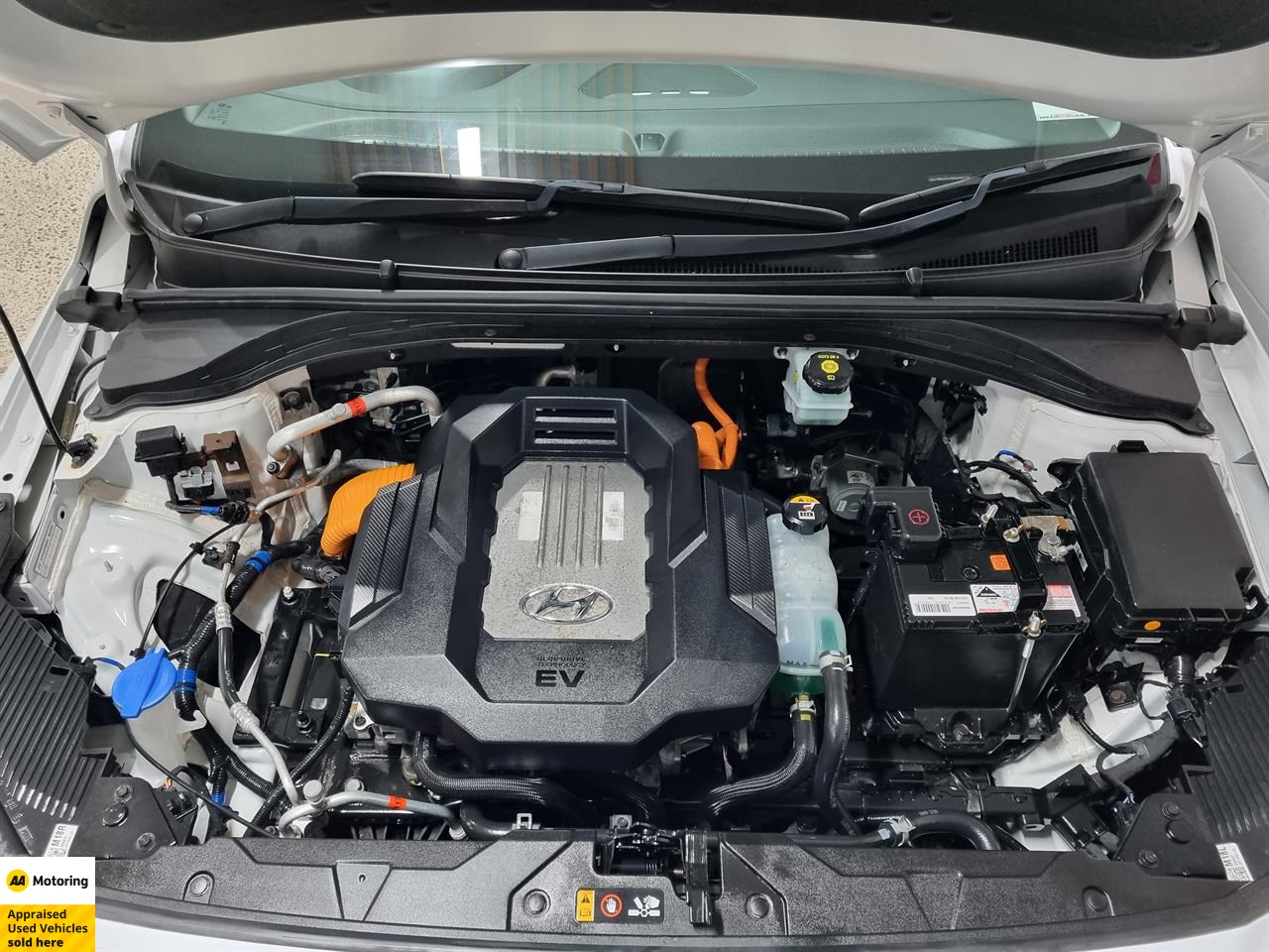 2019 Hyundai IONIQ