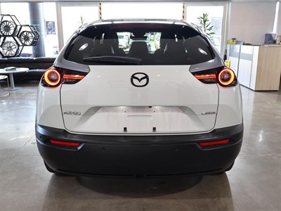 2020 Mazda MX-30