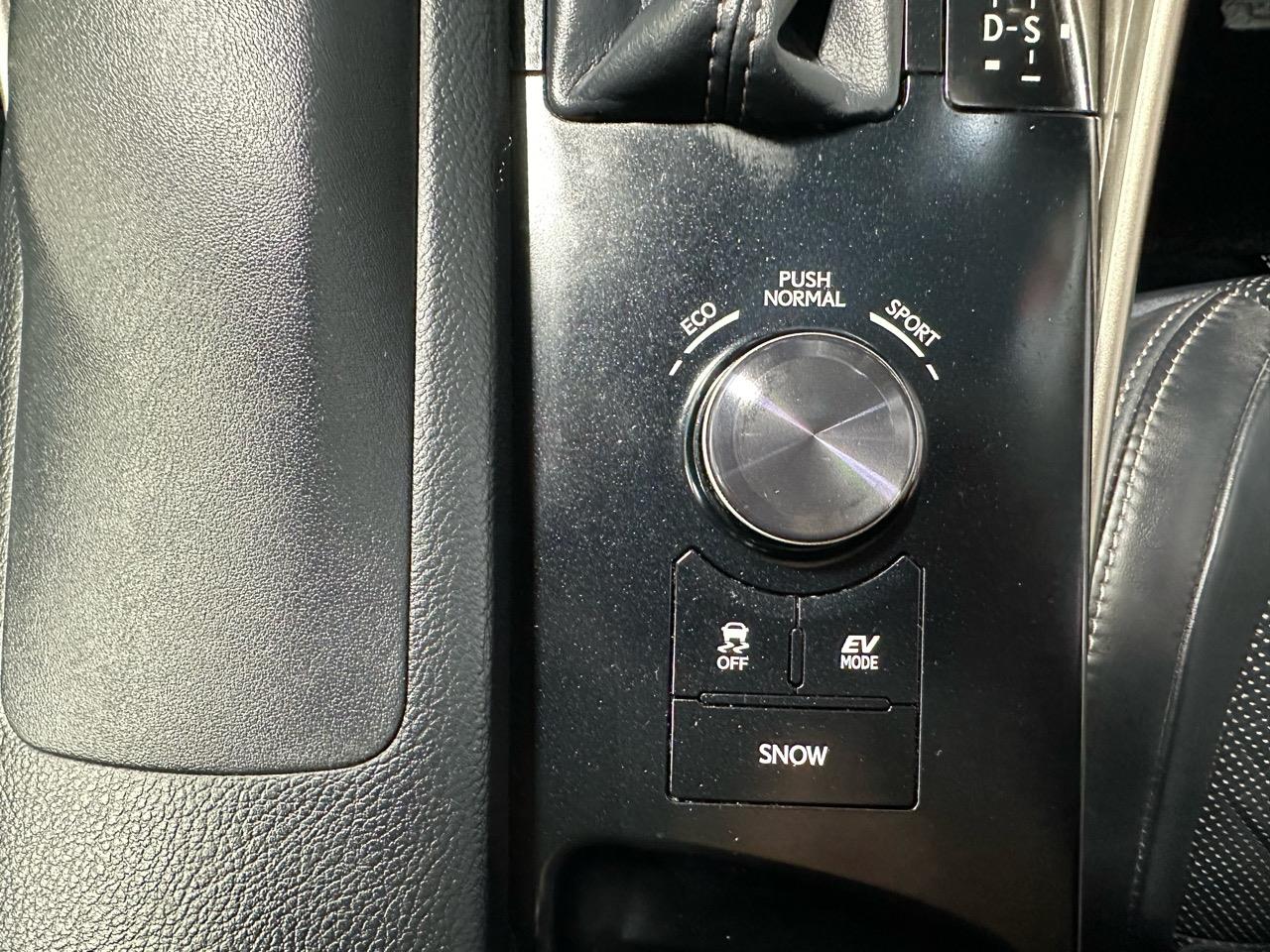 2013 Lexus IS300h