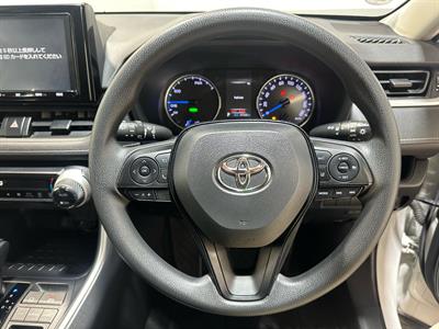 2019 Toyota RAV4 - Thumbnail