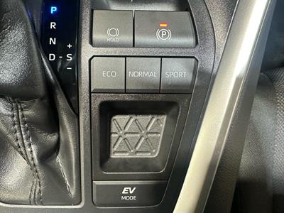 2019 Toyota RAV4 - Thumbnail