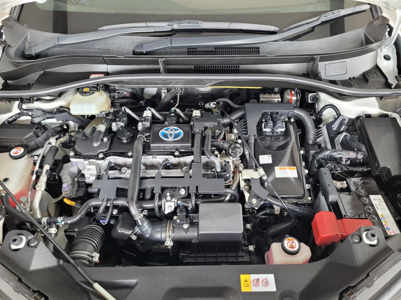 2019 Toyota C-HR